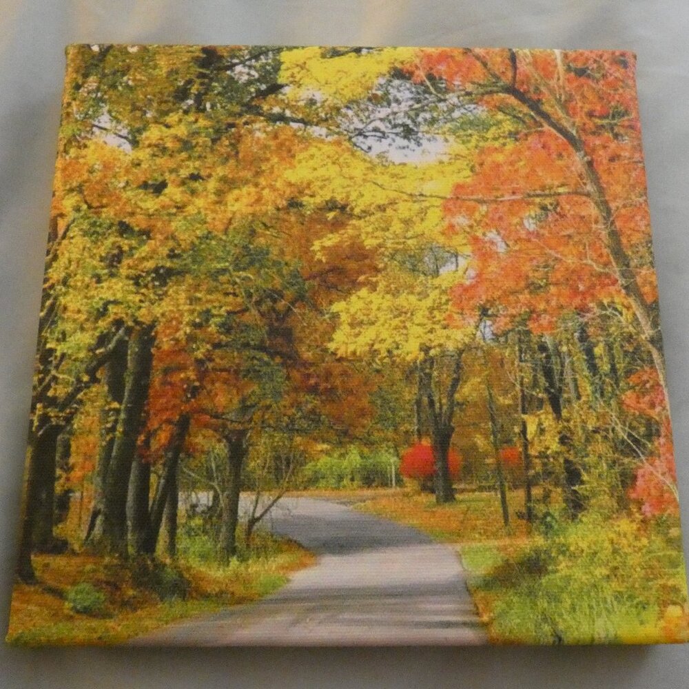 8 x 8 Canvas of Fall scene